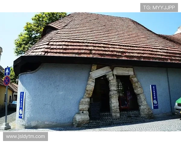 从法国小镇到辉煌绿茵探秘欧塞尔足球俱乐部的百年成长之路